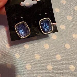 Blue Silver Stud Earrings